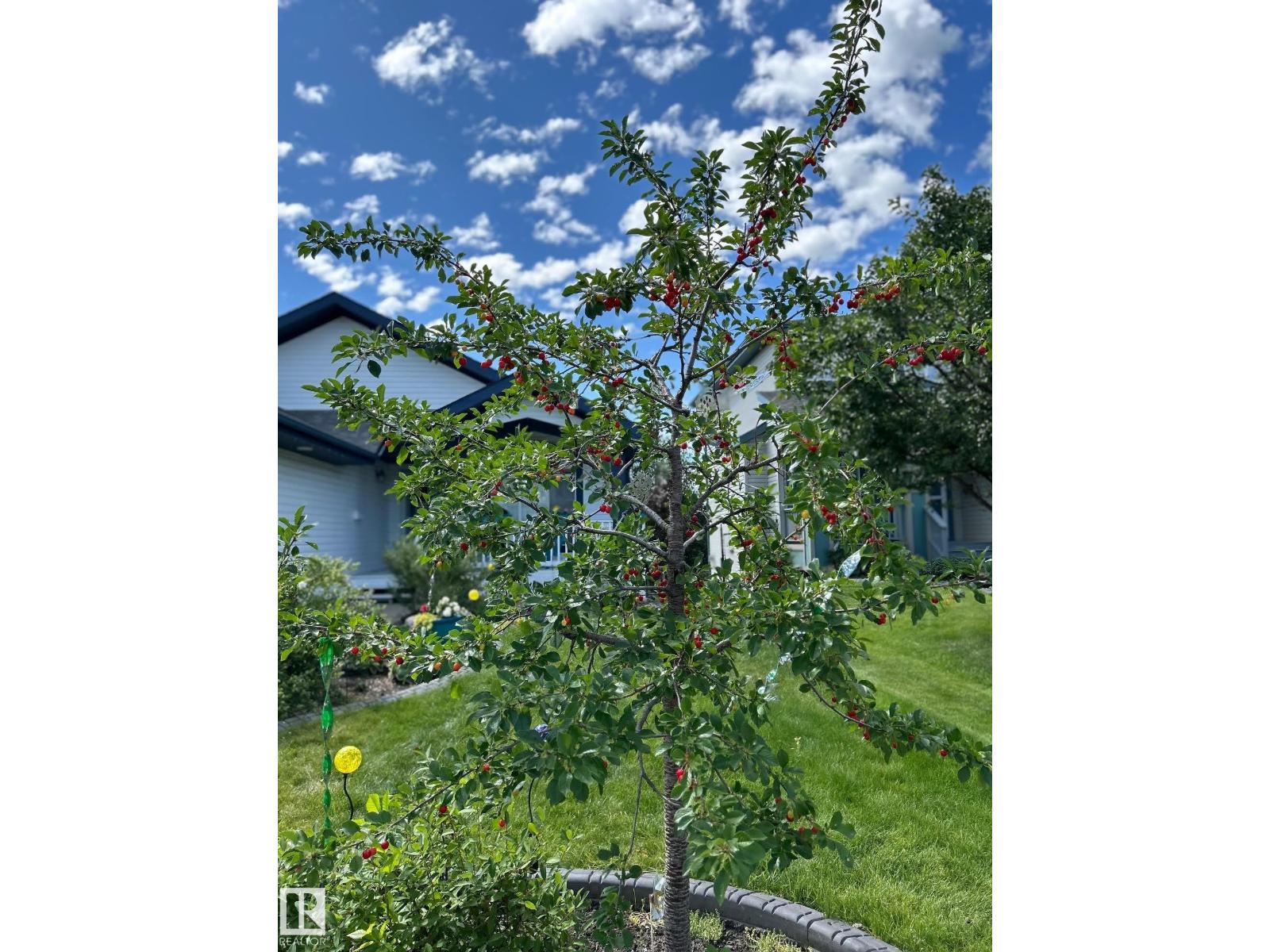 13 Newbury Co, St. Albert, Alberta  T8N 7C1 - Photo 56 - E4474072