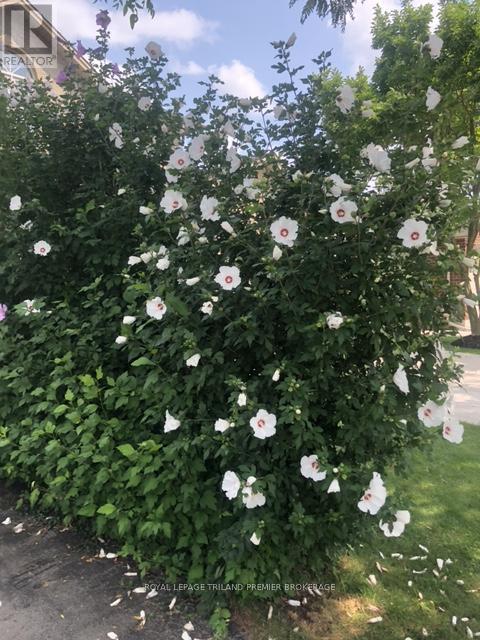 408 Brookhaven Place, London East, Ontario  N5Y 5N5 - Photo 40 - X12812178