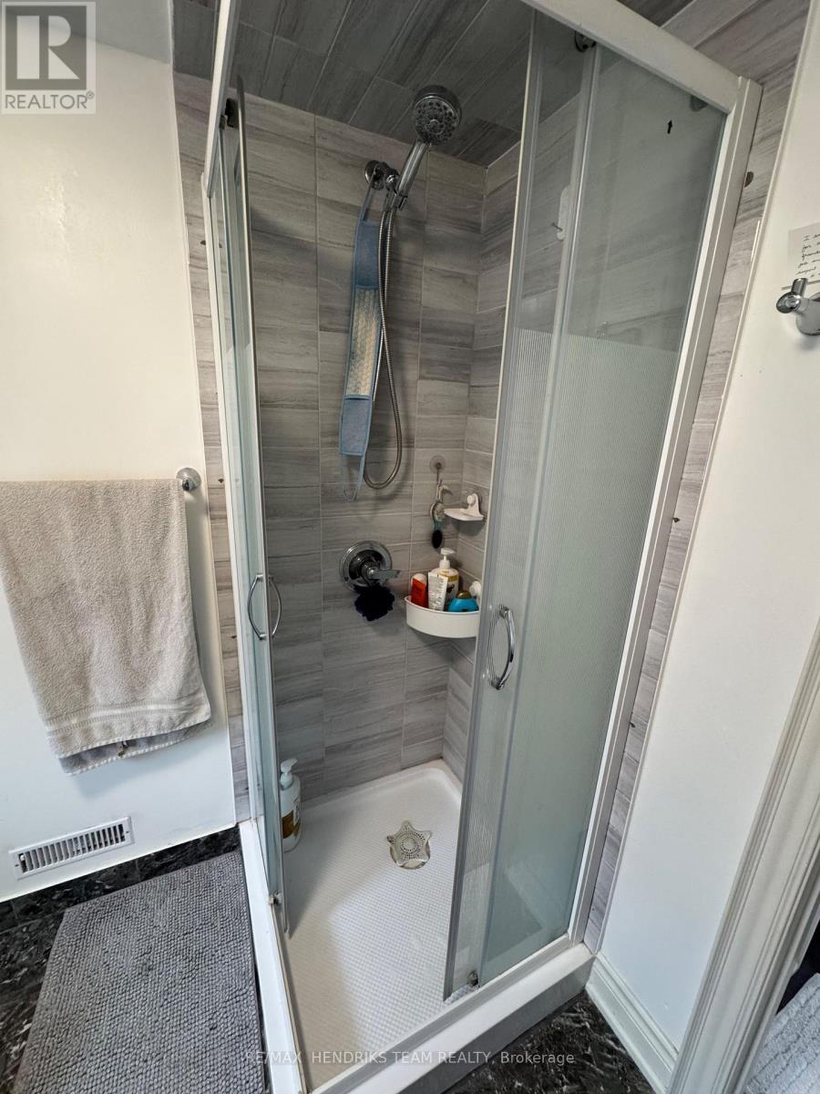 91 Page Street, St. Catharines, Ontario  L2R 4A8 - Photo 19 - X12812322