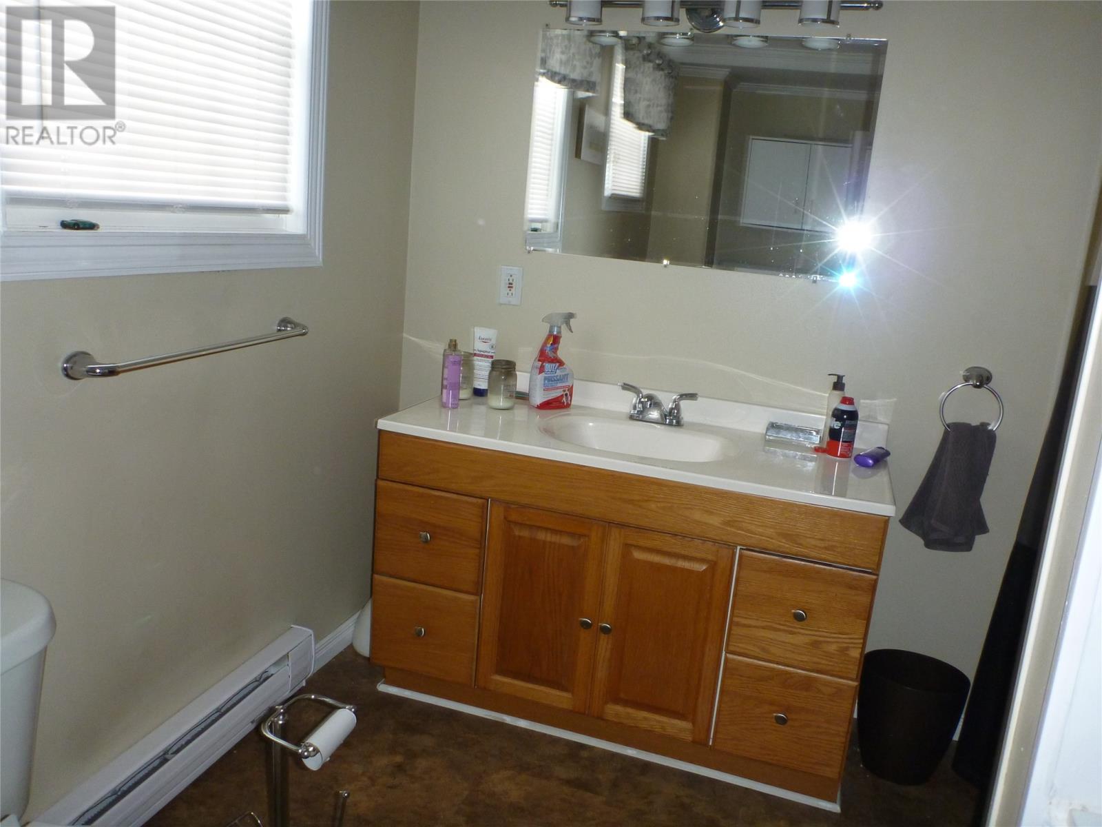 4 Baggs Place, Clarenville, Newfoundland & Labrador  A5A 1A5 - Photo 19 - 1294741