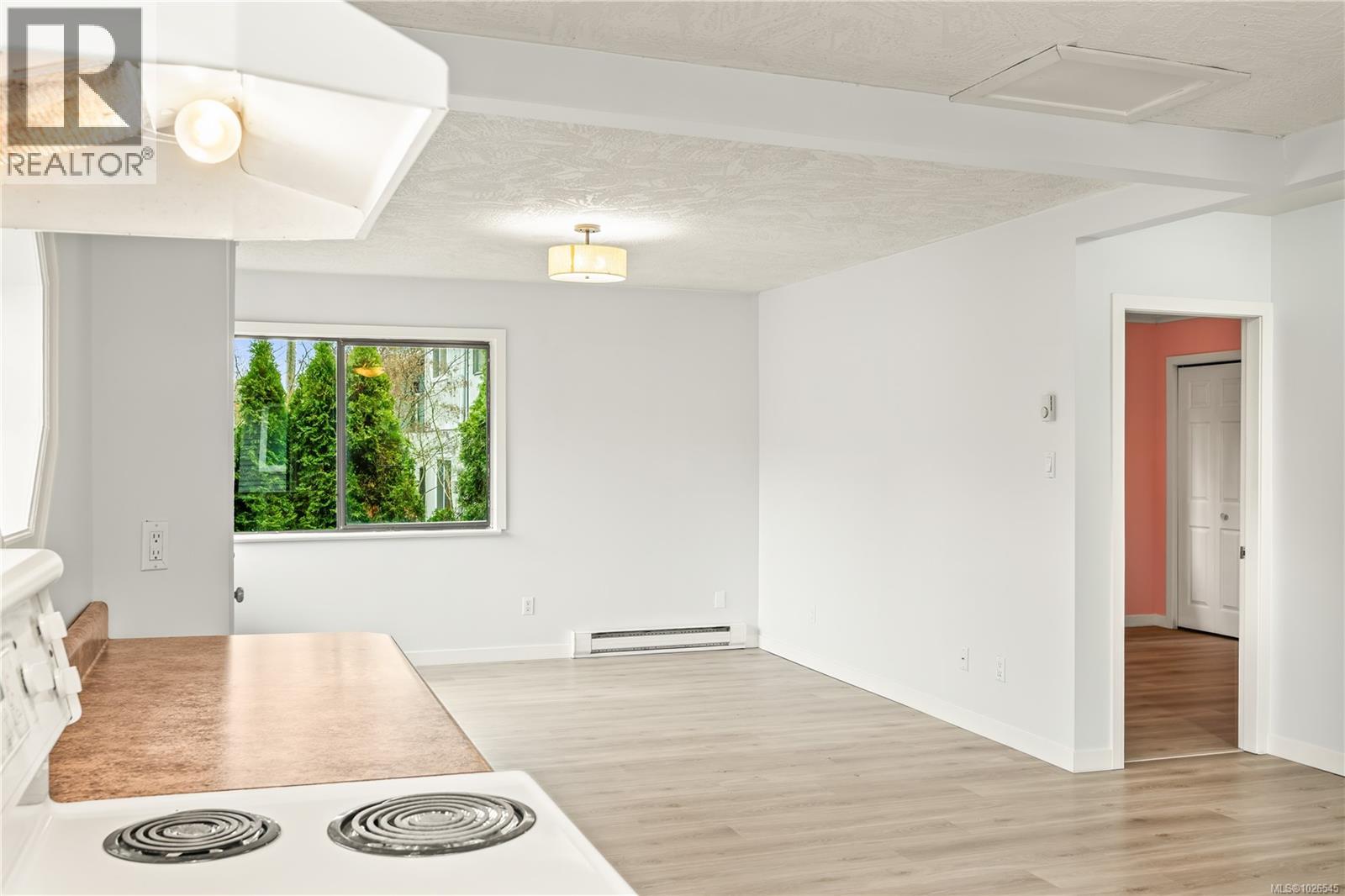 11 Fourth St, Nanaimo, British Columbia  V9R 1S6 - Photo 10 - 1026545