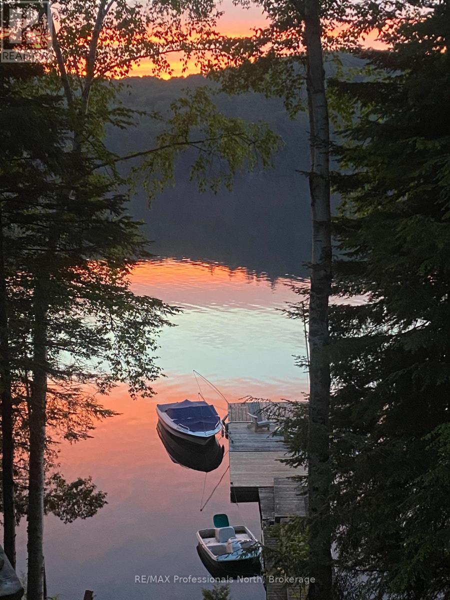 1016 Linsmore Lane, Dysart Et Al (Guilford), Ontario  K0M 1S0 - Photo 30 - X12812016