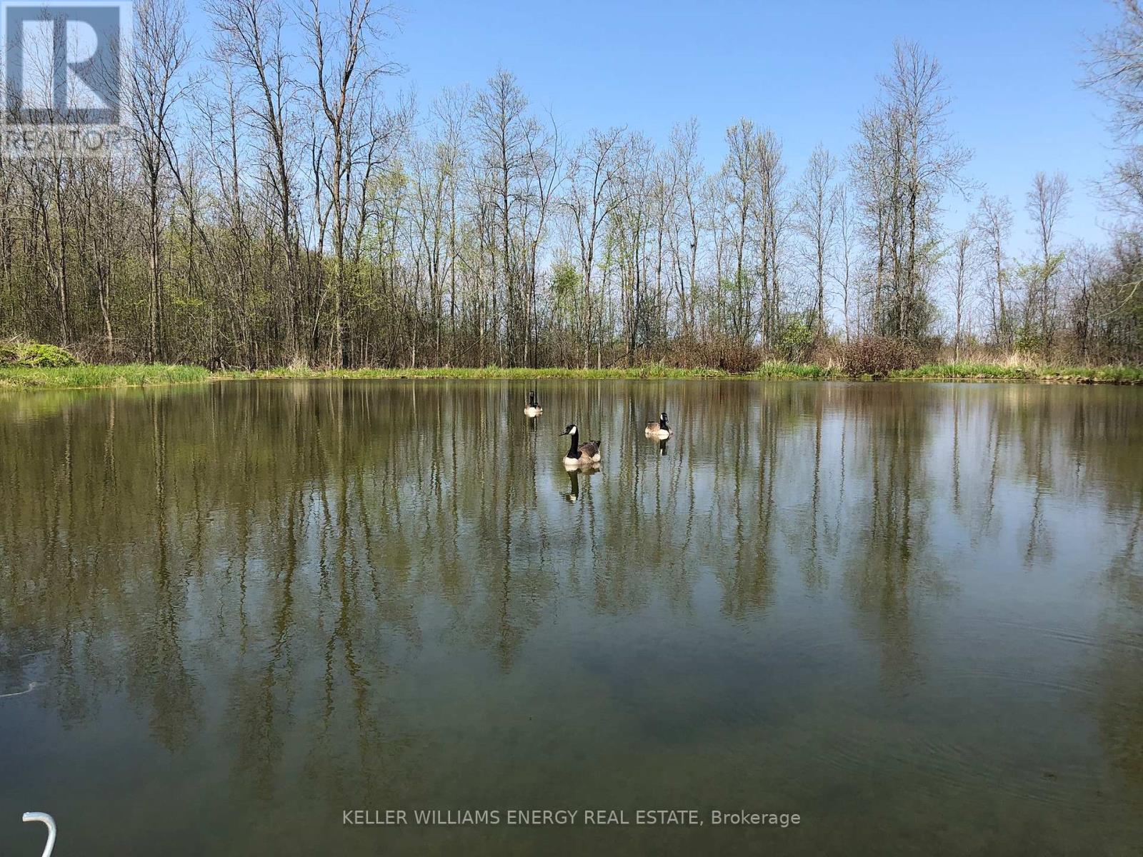 339 Elmbrook Road, Prince Edward County, Ontario  K0K 2T0 - Photo 43 - X12812382