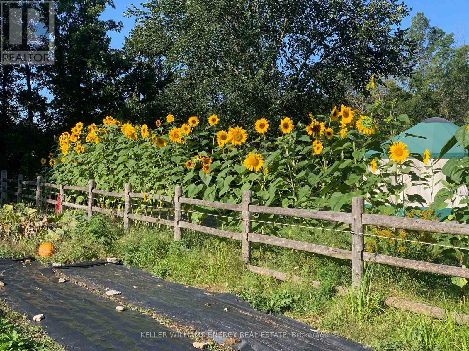 339 Elmbrook Road, Prince Edward County, Ontario  K0K 2T0 - Photo 45 - X12812382