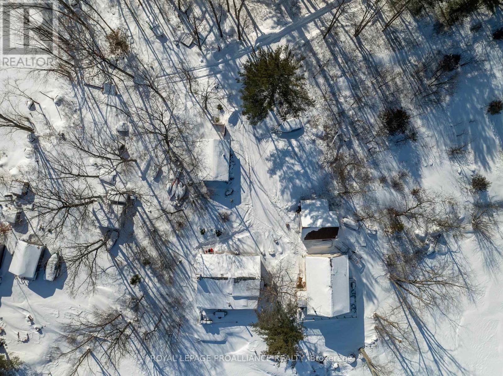 75 Houston Lane, Tweed, Ontario  K0K 3J0 - Photo 6 - X12812418