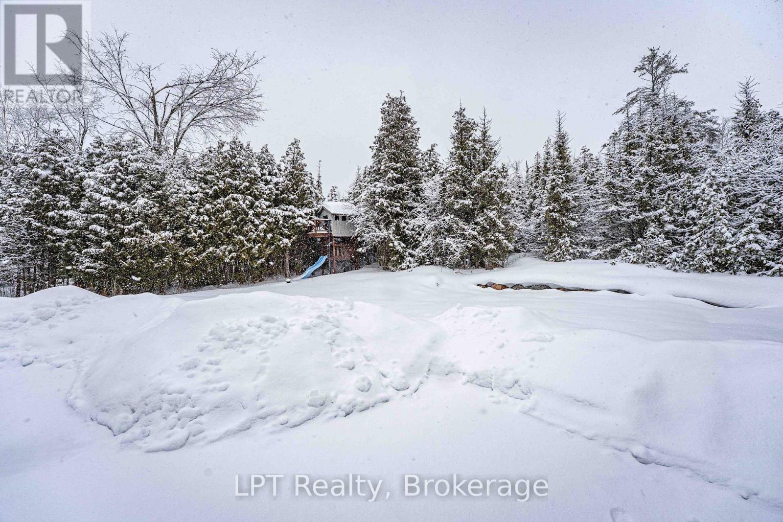 857 Cedar Glen Road, Kawartha Lakes (Verulam), Ontario  K0M 1L0 - Photo 43 - X12812618