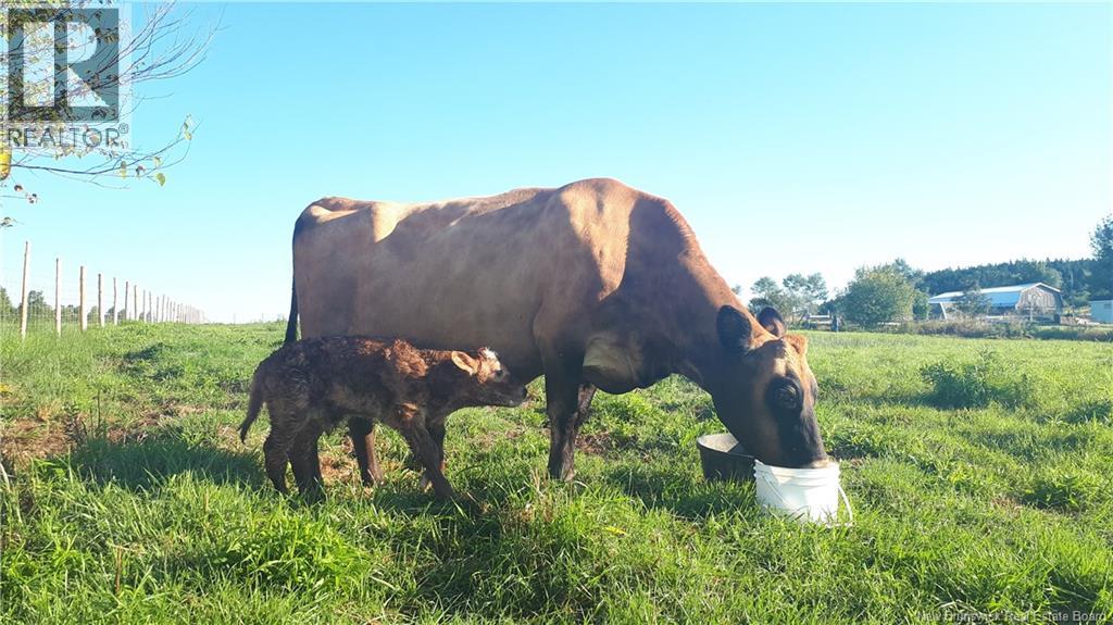 5356 Route 114, Hopewell Hill, New Brunswick  E4H 3N3 - Photo 45 - NB134024