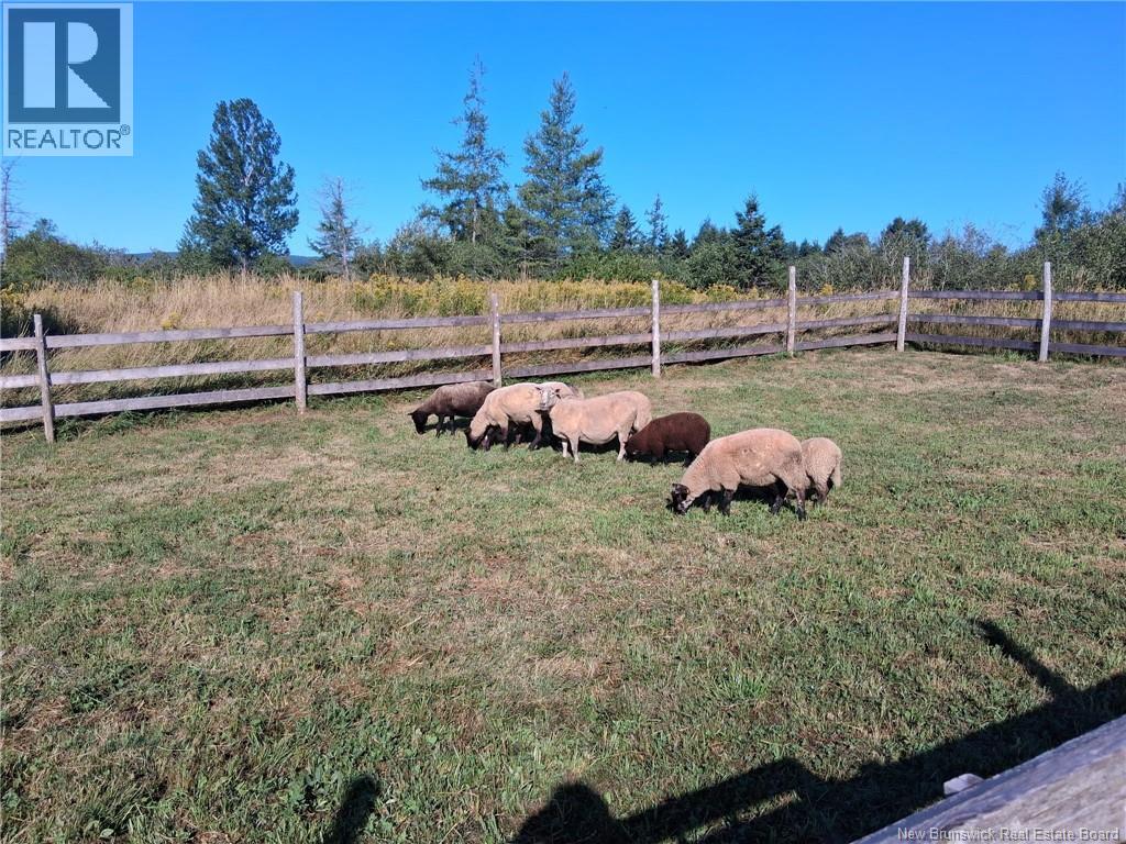 5356 Route 114, Hopewell Hill, New Brunswick  E4H 3N3 - Photo 46 - NB134024