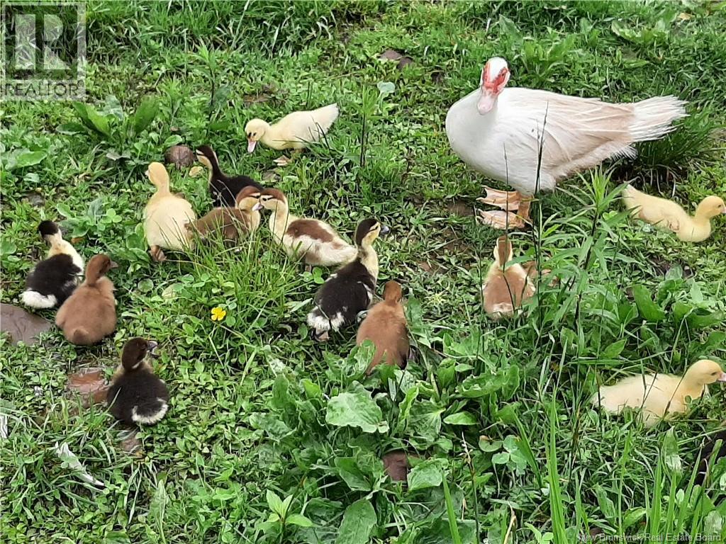 5356 Route 114, Hopewell Hill, New Brunswick  E4H 3N3 - Photo 43 - NB134024