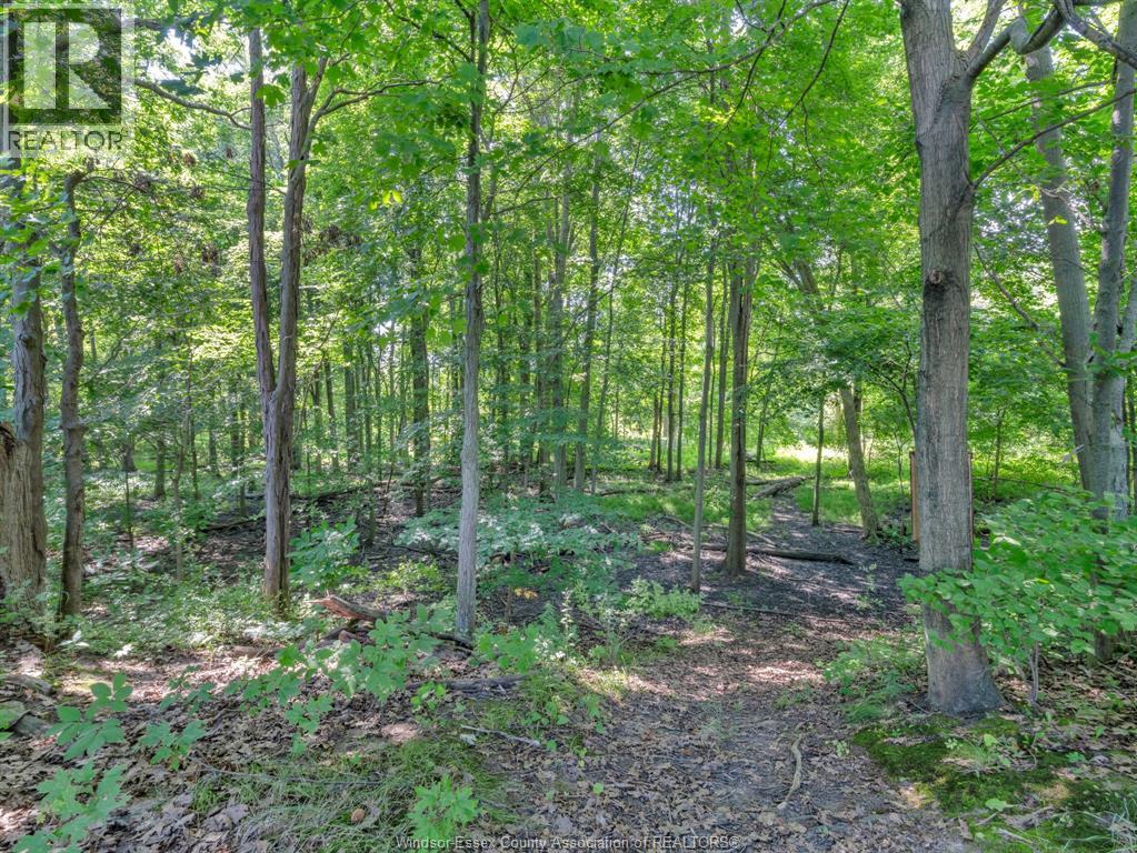 2310 Hickson Rd., Leamington, Ontario  N0P 2P0 - Photo 45 - 26003789