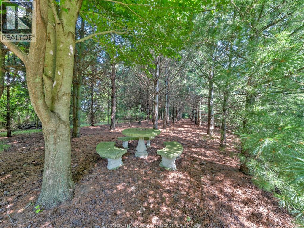 2310 Hickson Rd., Leamington, Ontario  N0P 2P0 - Photo 46 - 26003789