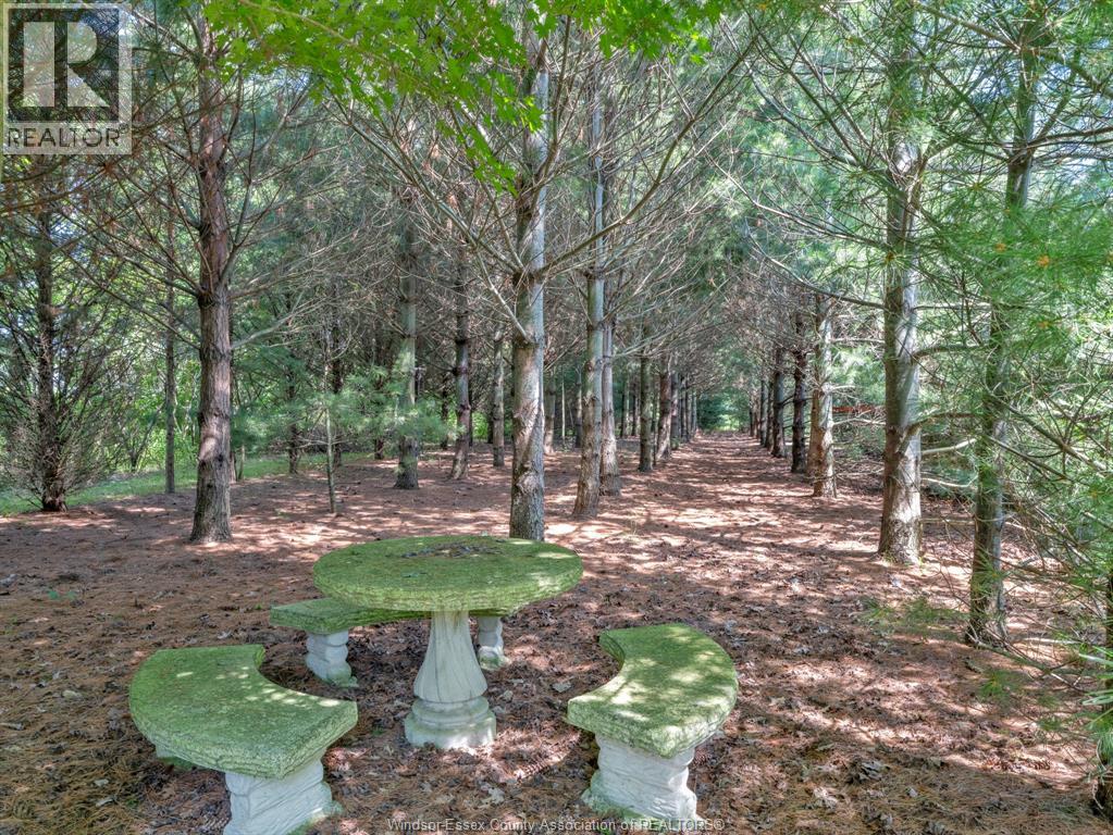 2310 Hickson Rd., Leamington, Ontario  N0P 2P0 - Photo 47 - 26003789