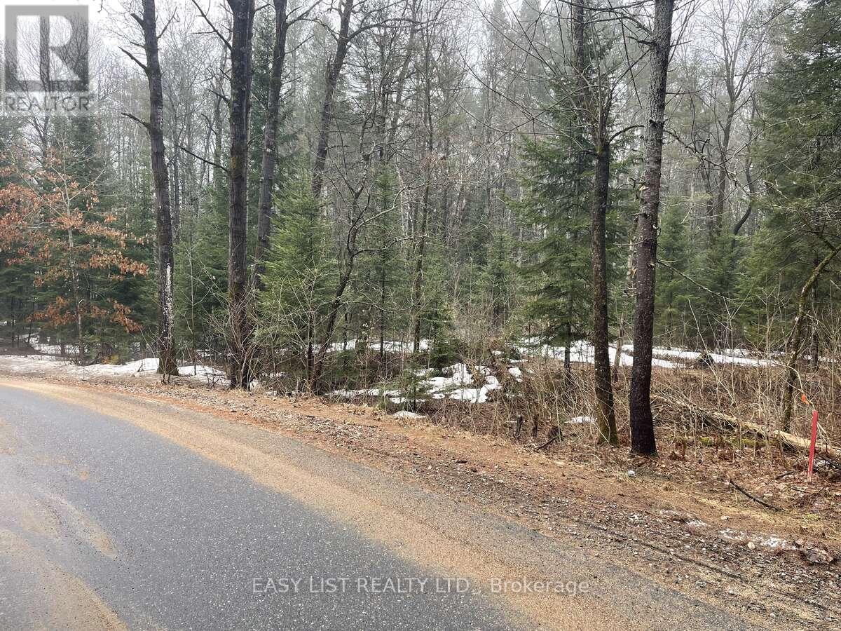 0 Dwight Beach Road, Lake Of Bays, Ontario  P0A 1H0 - Photo 4 - X12812482