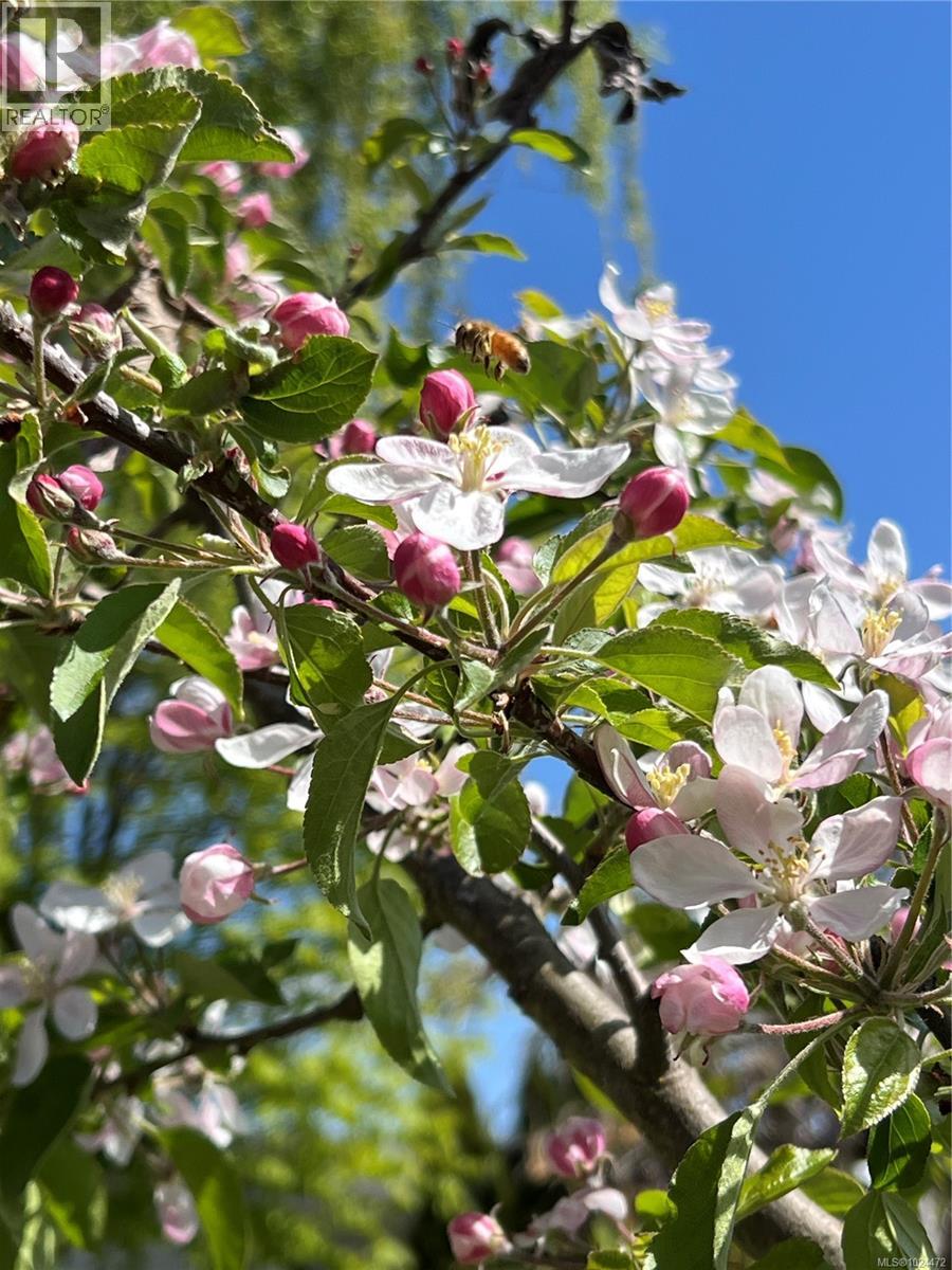 1560 Joan Ave, Crofton, British Columbia  V0R 1R0 - Photo 41 - 1024472