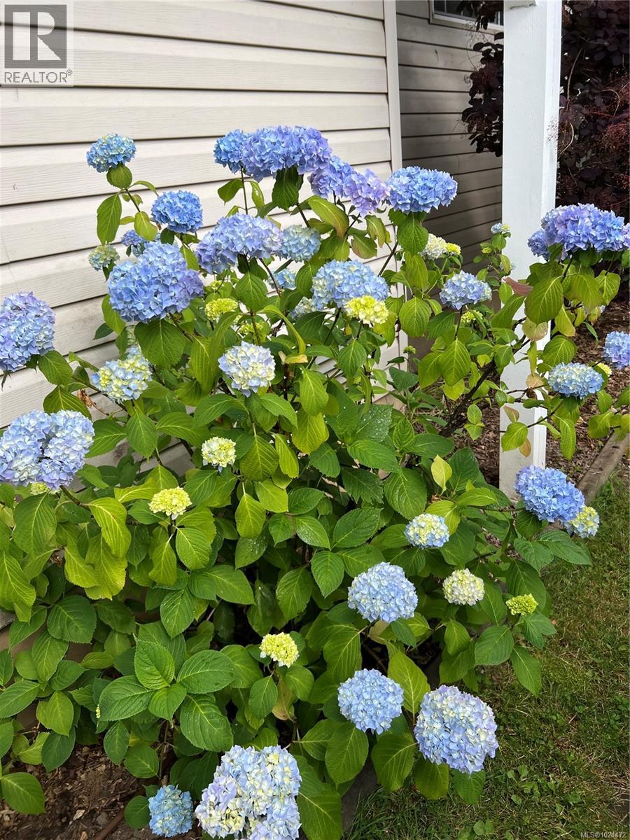 1560 Joan Ave, Crofton, British Columbia  V0R 1R0 - Photo 44 - 1024472