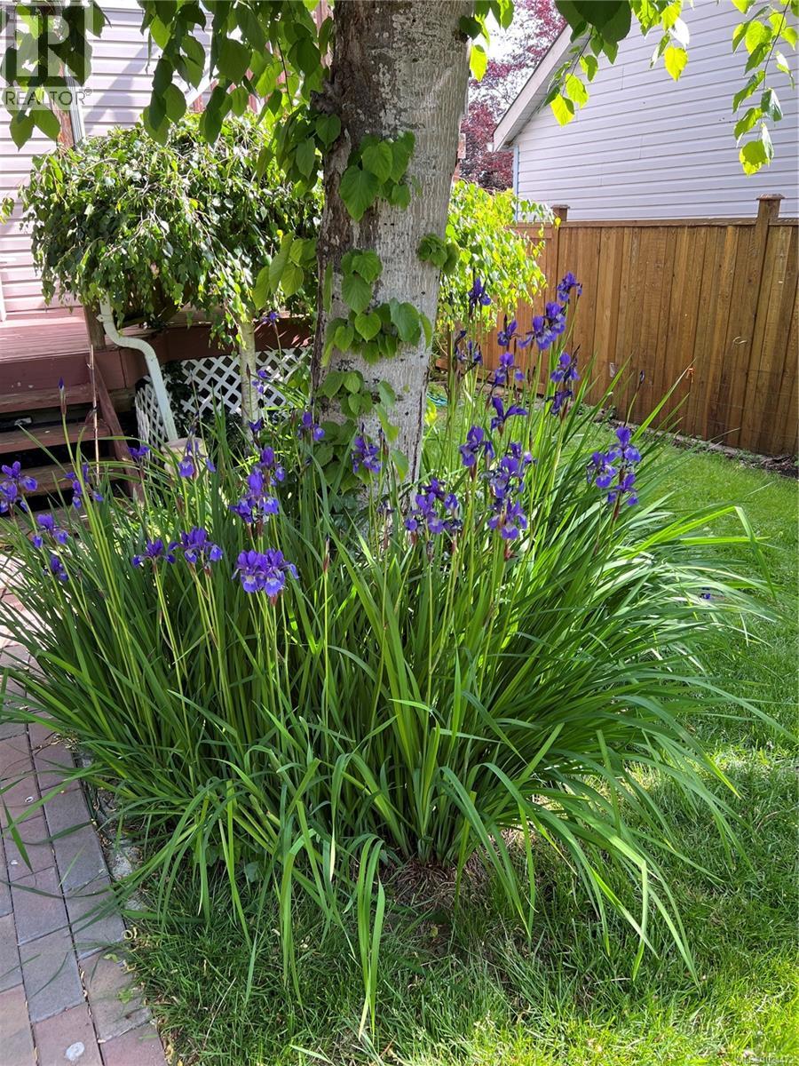 1560 Joan Ave, Crofton, British Columbia  V0R 1R0 - Photo 45 - 1024472