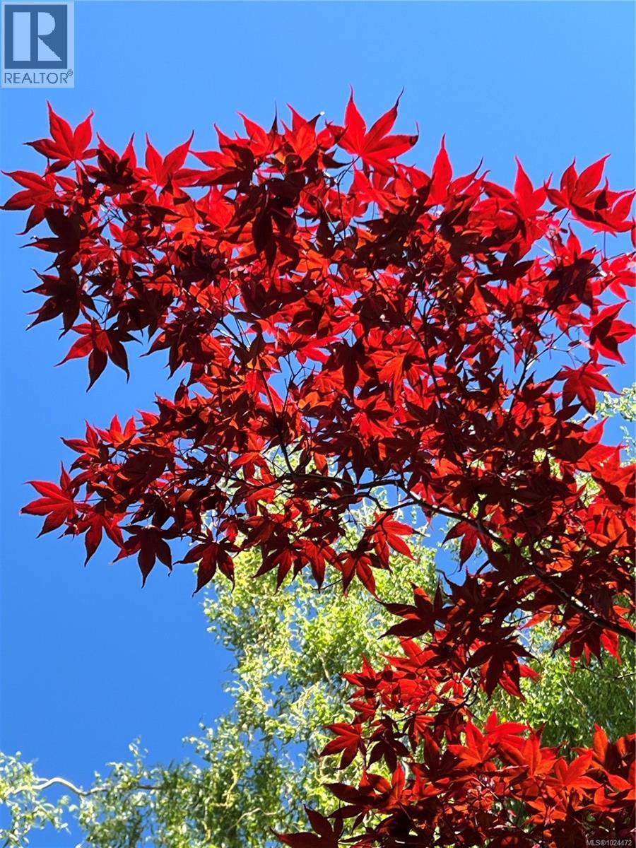 1560 Joan Ave, Crofton, British Columbia  V0R 1R0 - Photo 47 - 1024472