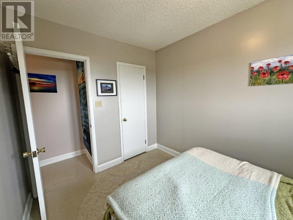 109 Mckirdy Ave, Nipigon, Ontario  P0T 2J0 - Photo 27 - TB2600157