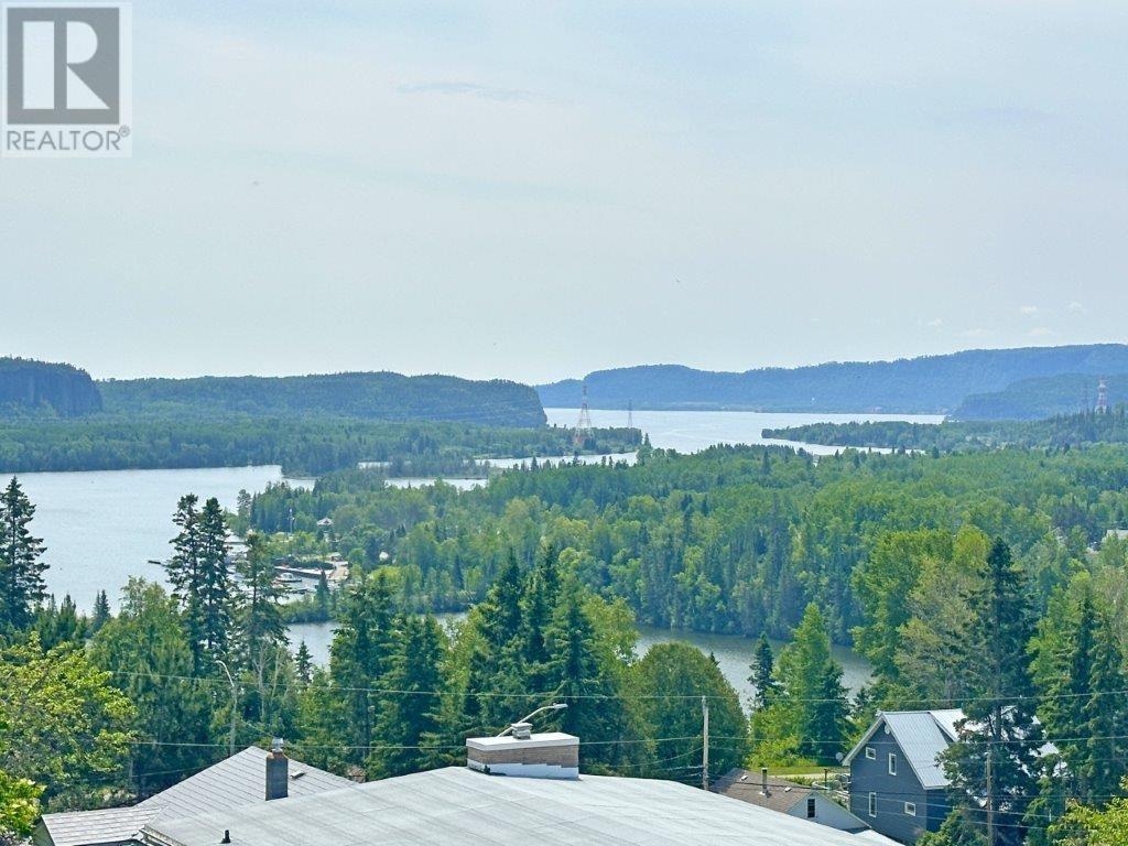 109 Mckirdy Ave, Nipigon, Ontario  P0T 2J0 - Photo 45 - TB2600157