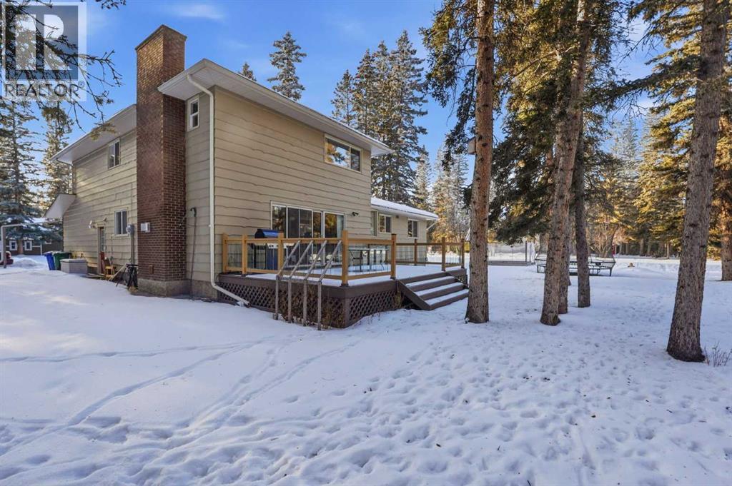 38 Wolf Drive, Rural Rocky View County, Alberta  T3Z 1A3 - Photo 42 - A2277293