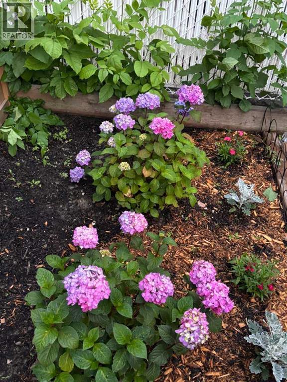 132 Wedgewood Drive Sw, Calgary, Alberta  T3C 3G8 - Photo 45 - A2287120