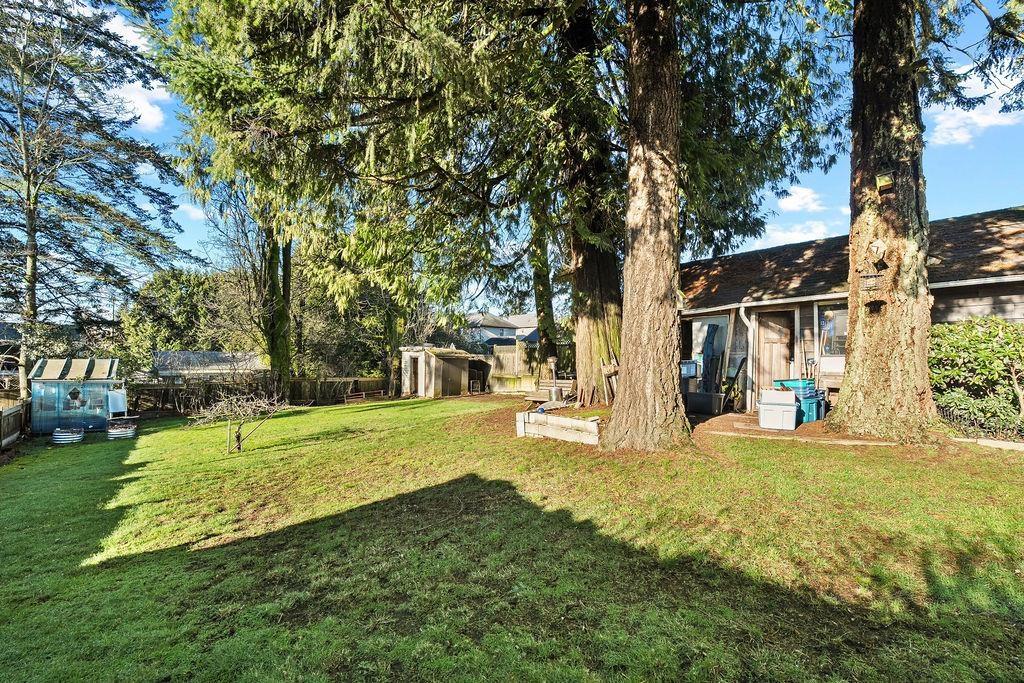 10131 128a Street, Surrey, British Columbia  V3T 3E5 - Photo 33 - R3092592