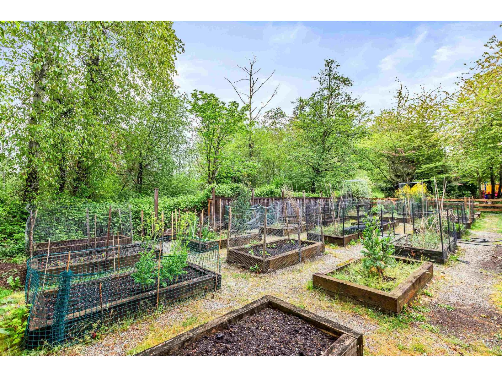 23 18983 72a Avenue, Surrey, British Columbia V4N 1A5 - Photo 33 - R3092565