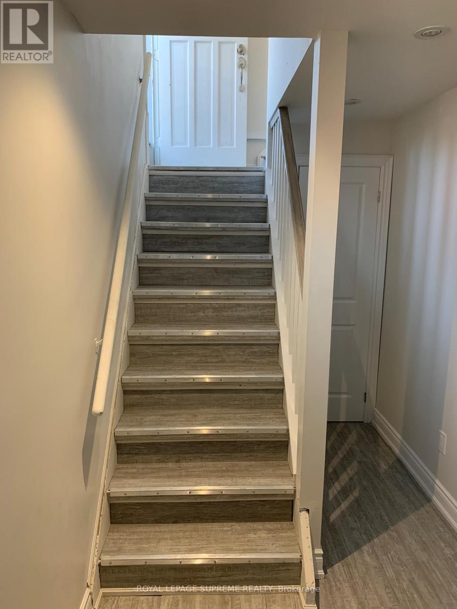 Basement - 38 Loyalist Drive, Hamilton, Ontario  L8K 4J3 - Photo 3 - X12812876