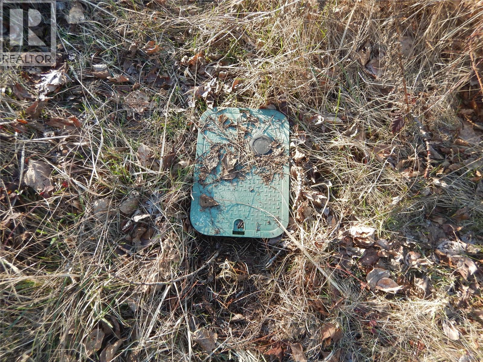 Lot 2 Artela Dr, Fanny Bay, British Columbia  V0R 1W0 - Photo 10 - 1026703