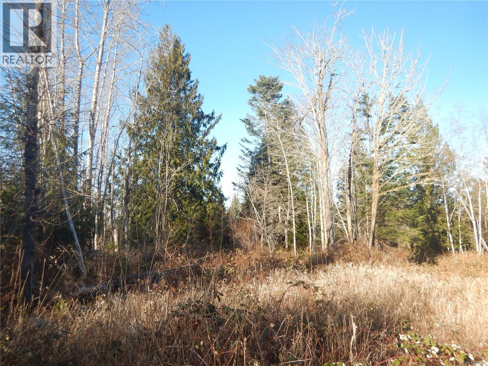 Lot 2 Artela Dr, Fanny Bay, British Columbia  V0R 1W0 - Photo 8 - 1026703