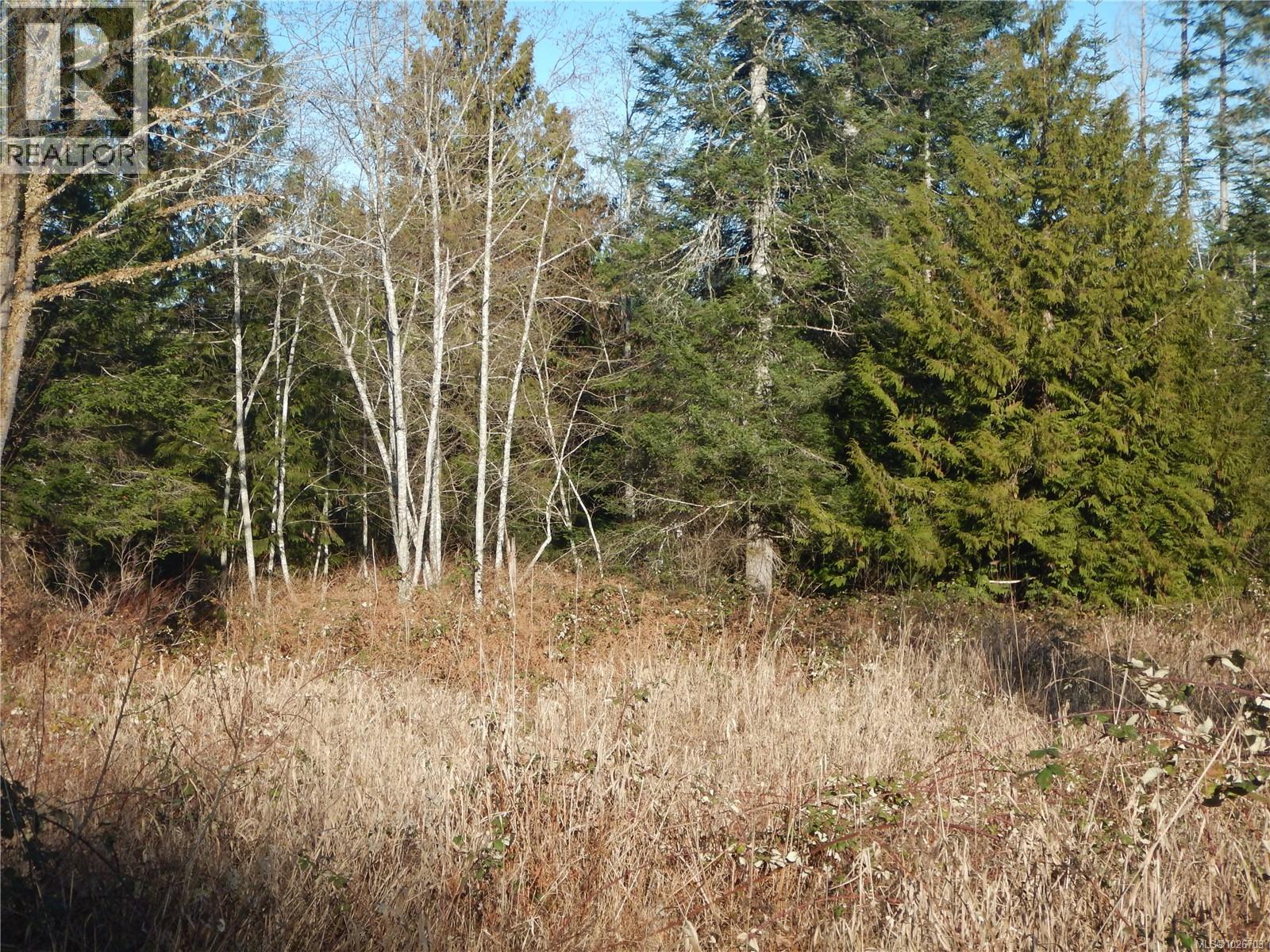 Lot 2 Artela Dr, Fanny Bay, British Columbia  V0R 1W0 - Photo 3 - 1026703