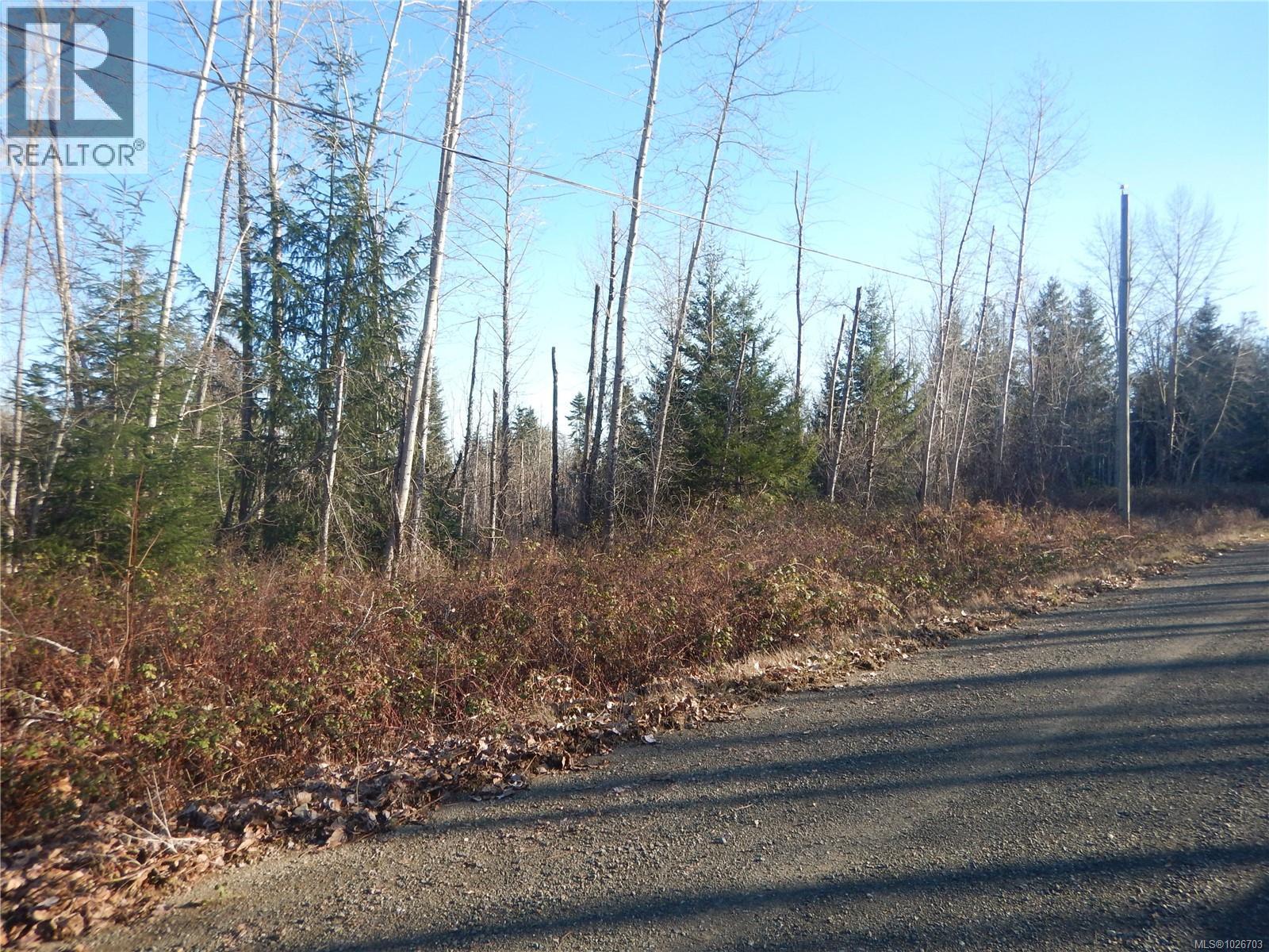 Lot 2 Artela Dr, Fanny Bay, British Columbia  V0R 1W0 - Photo 11 - 1026703