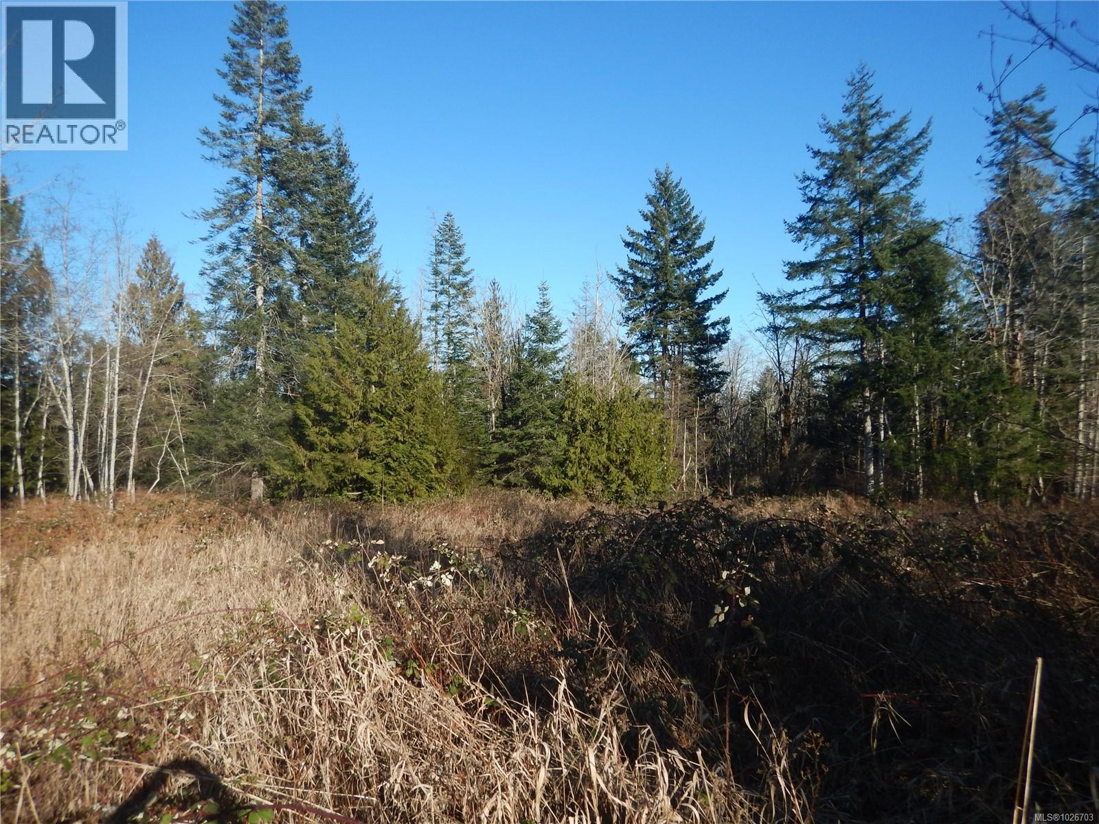 Lot 2 Artela Dr, Fanny Bay, British Columbia  V0R 1W0 - Photo 6 - 1026703