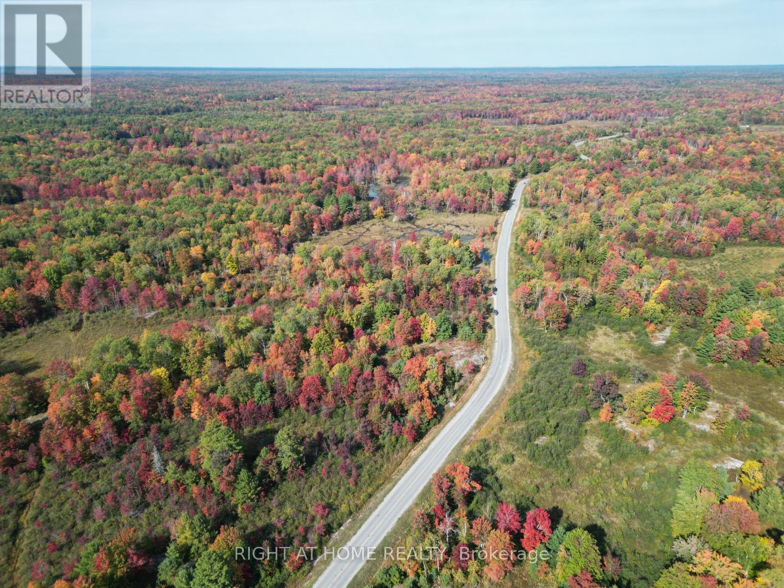 1115 Flinton Road, Tweed, Ontario  K0K 3J0 - Photo 8 - X12808004