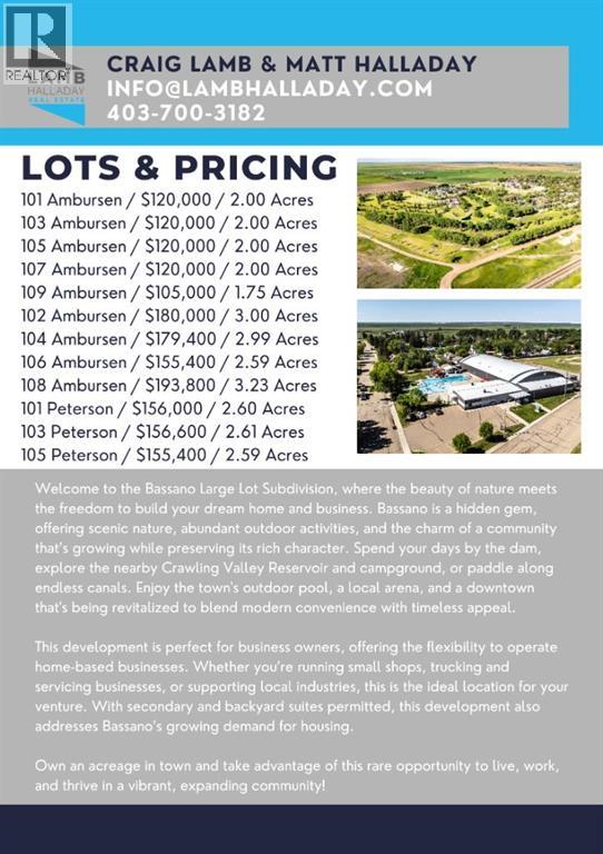 109 Ambursen Avenue, Bassano, Alberta  T0J 0B0 - Photo 14 - A2241174