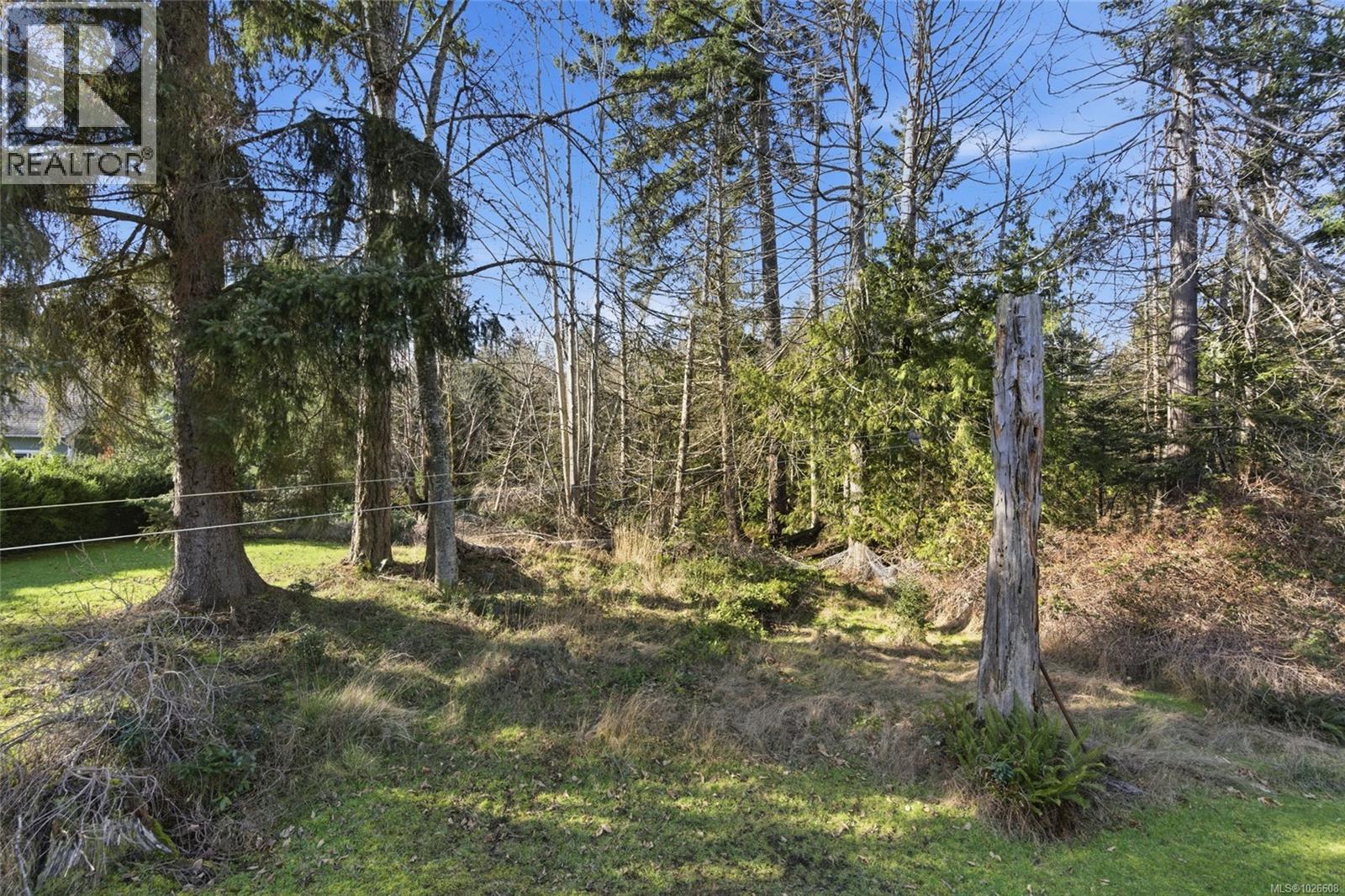 439 Craig St, Parksville, British Columbia  V9P 1L2 - Photo 8 - 1026608