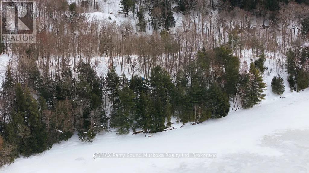 Lot 2 Louisa Street, Parry Sound, Ontario  P2A 2V3 - Photo 17 - X12813098