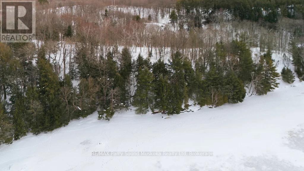 Lot 2 Louisa Street, Parry Sound, Ontario  P2A 2V3 - Photo 19 - X12813098
