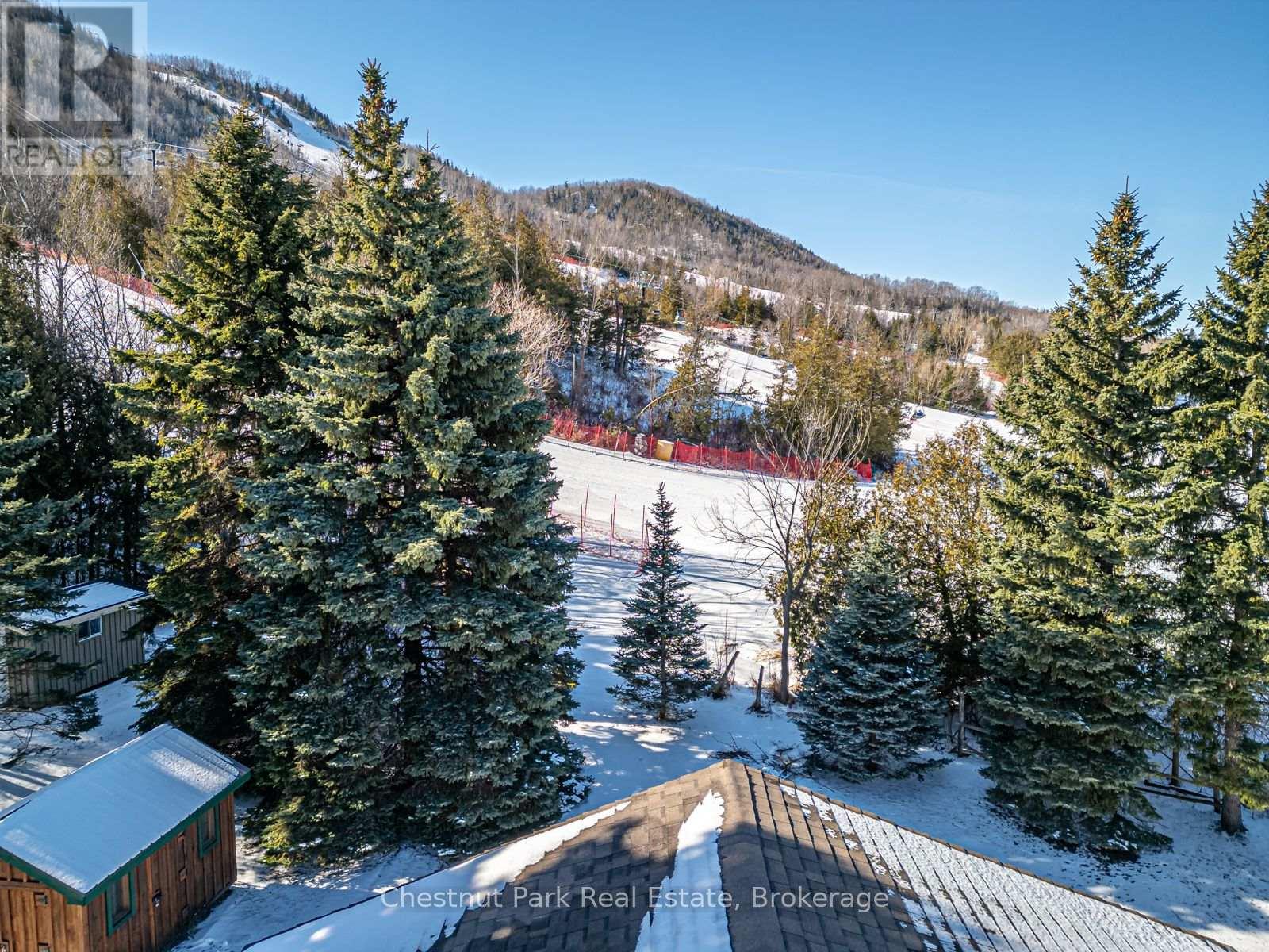 160 Wensley Drive, Blue Mountains, Ontario  N0H 1J0 - Photo 36 - X12813186