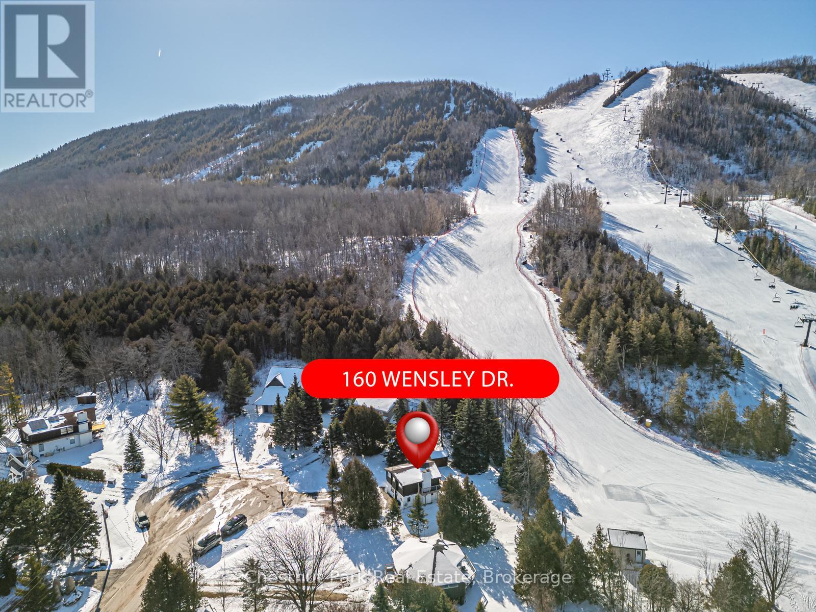 160 Wensley Drive, Blue Mountains, Ontario  N0H 1J0 - Photo 37 - X12813186