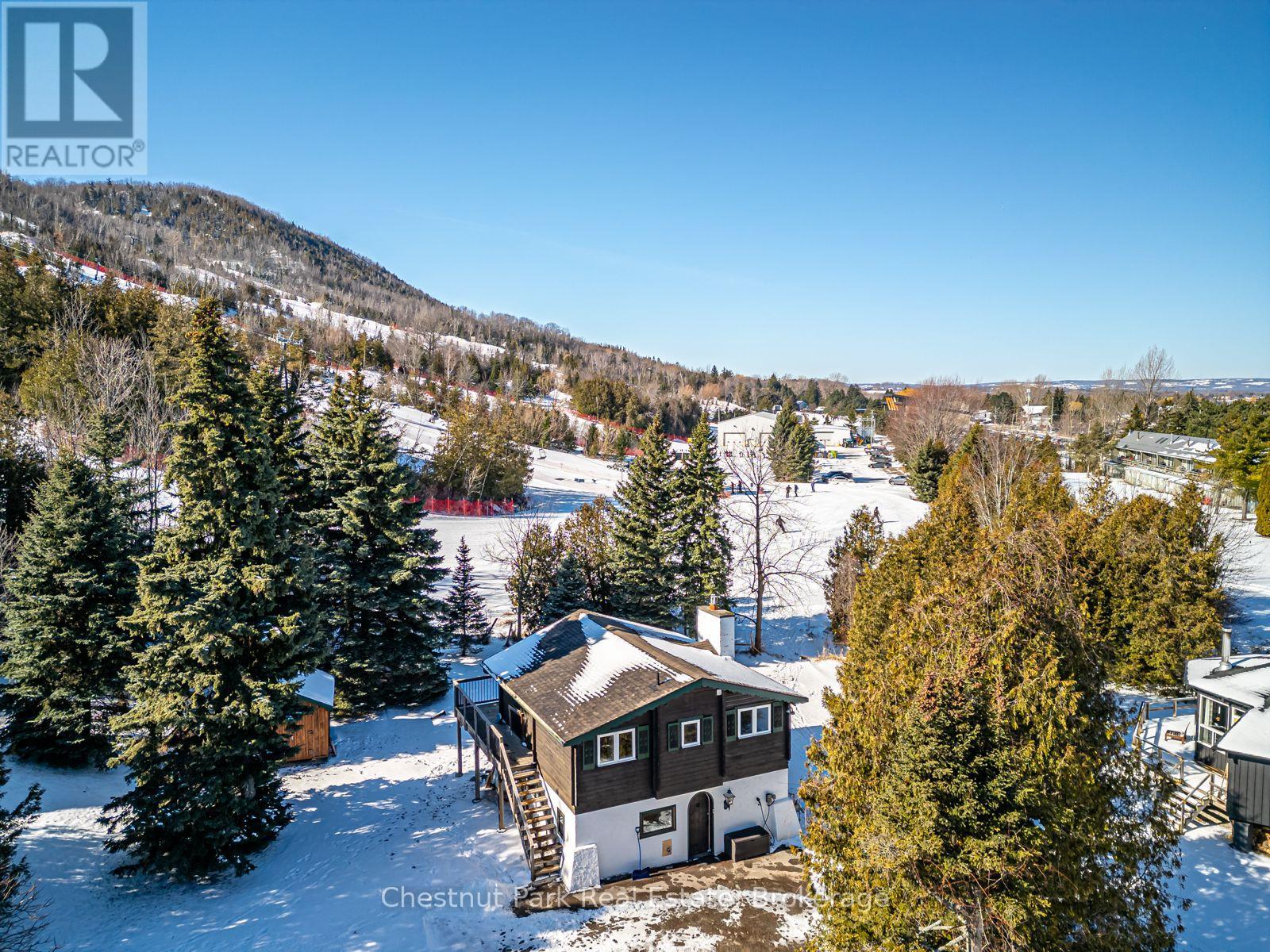 160 Wensley Drive, Blue Mountains, Ontario  N0H 1J0 - Photo 38 - X12813186