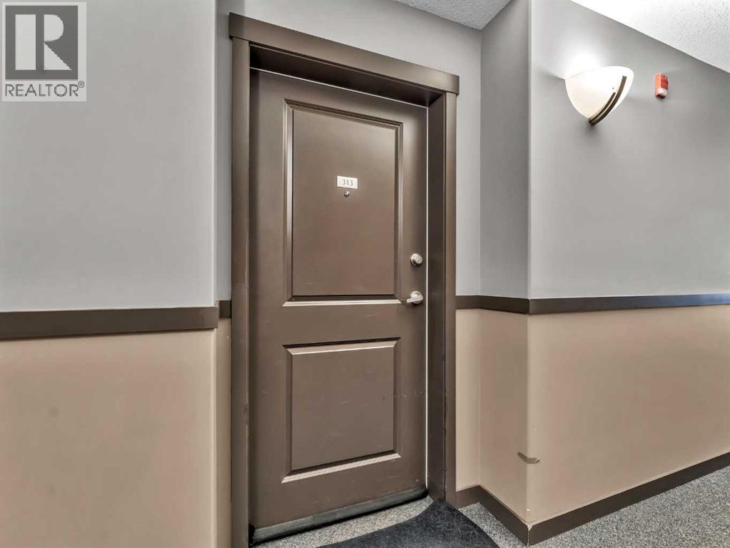 313, 19 Terrace View Ne, Medicine Hat, Alberta  T1C 0E8 - Photo 5 - A2278630