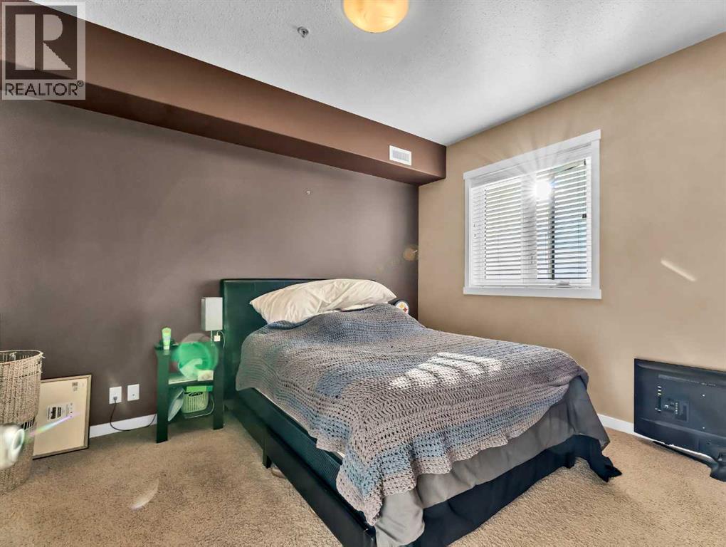 313, 19 Terrace View Ne, Medicine Hat, Alberta  T1C 0E8 - Photo 25 - A2278630