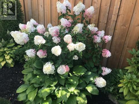 8 Elmore Drive N, Hamilton, Ontario  L8W 1T6 - Photo 39 - X12813100