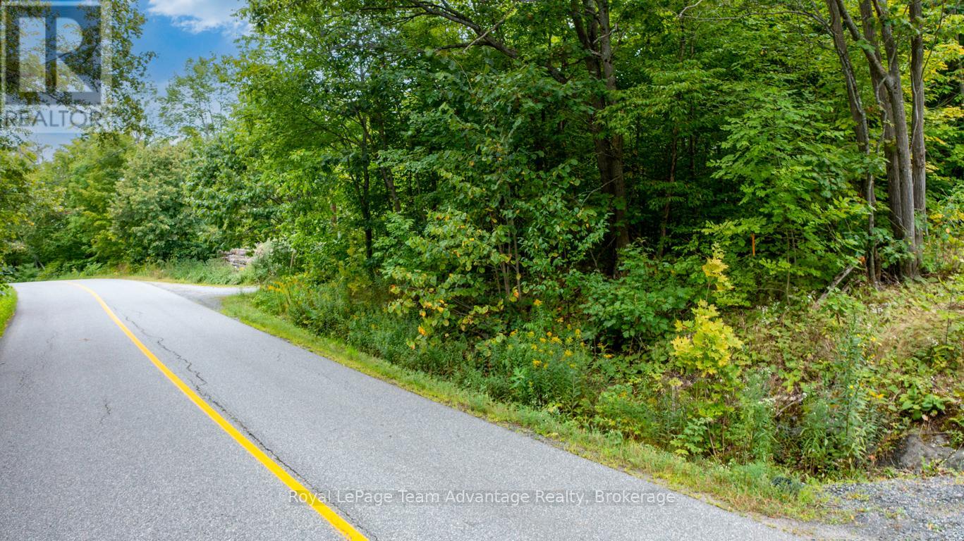 33 Pinewood Road, Mcdougall, Ontario P2A 2W7 - Photo 4 - X12370997