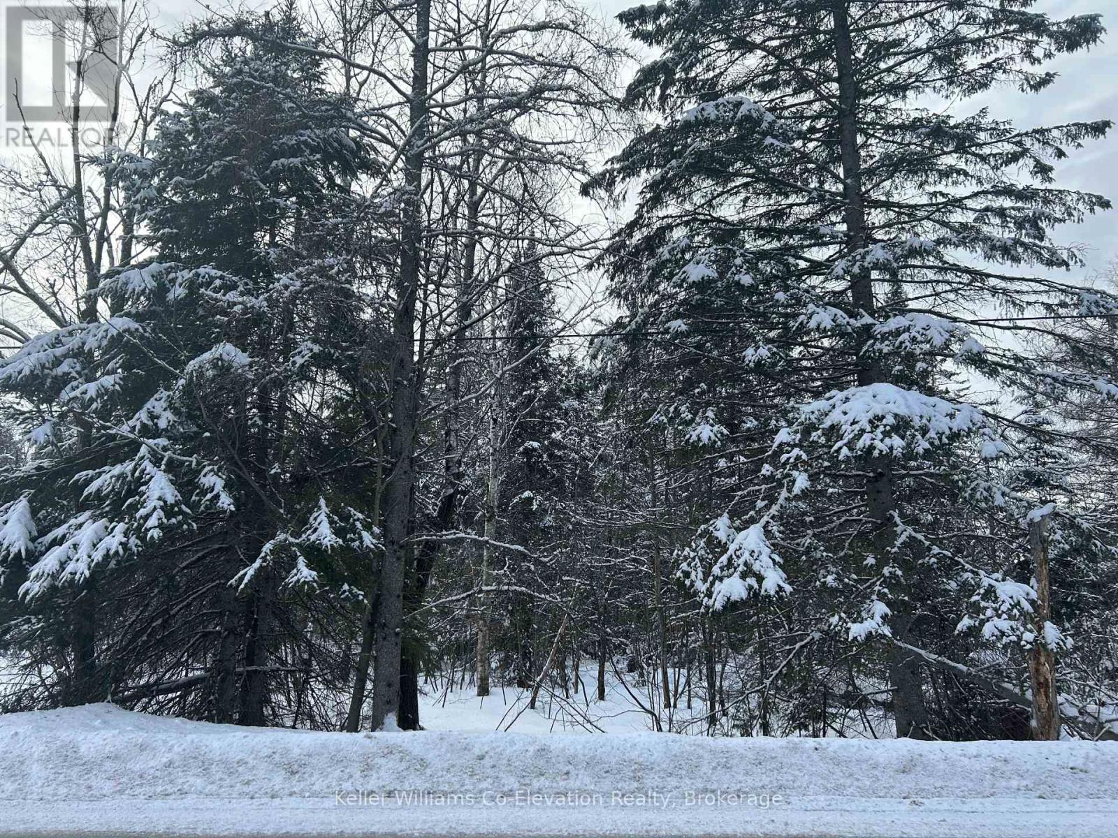 Pt Lt 16 Barkway Road, Gravenhurst (Ryde), Ontario  P1P 1R3 - Photo 6 - X12813250