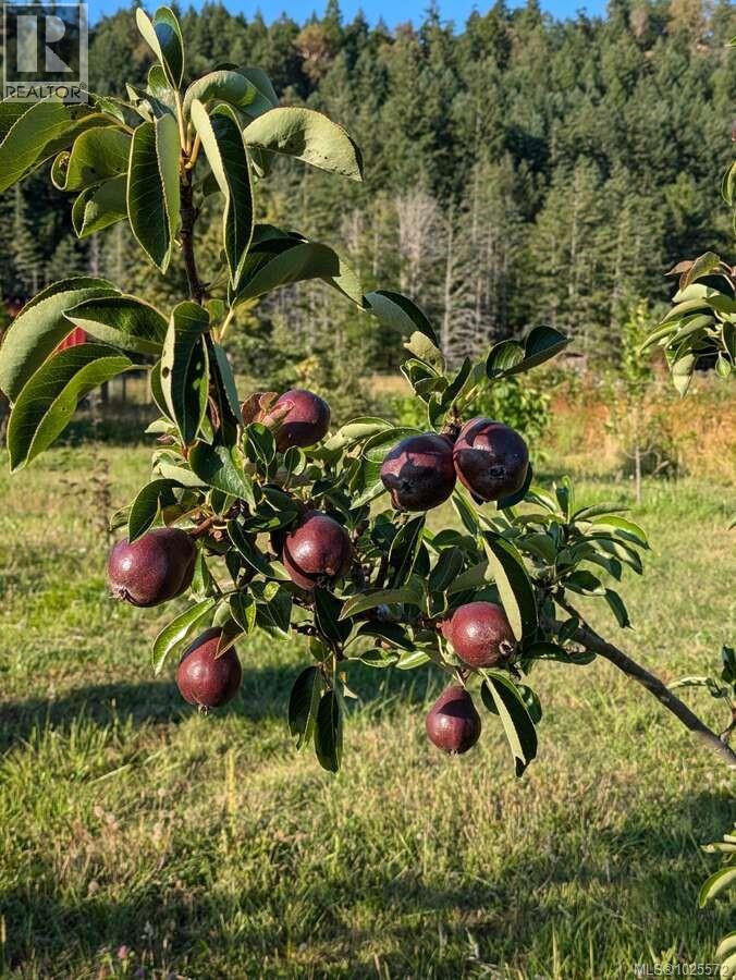 300 Wood Dale Dr, Mayne Island, British Columbia  V0N 2J2 - Photo 53 - 1025572