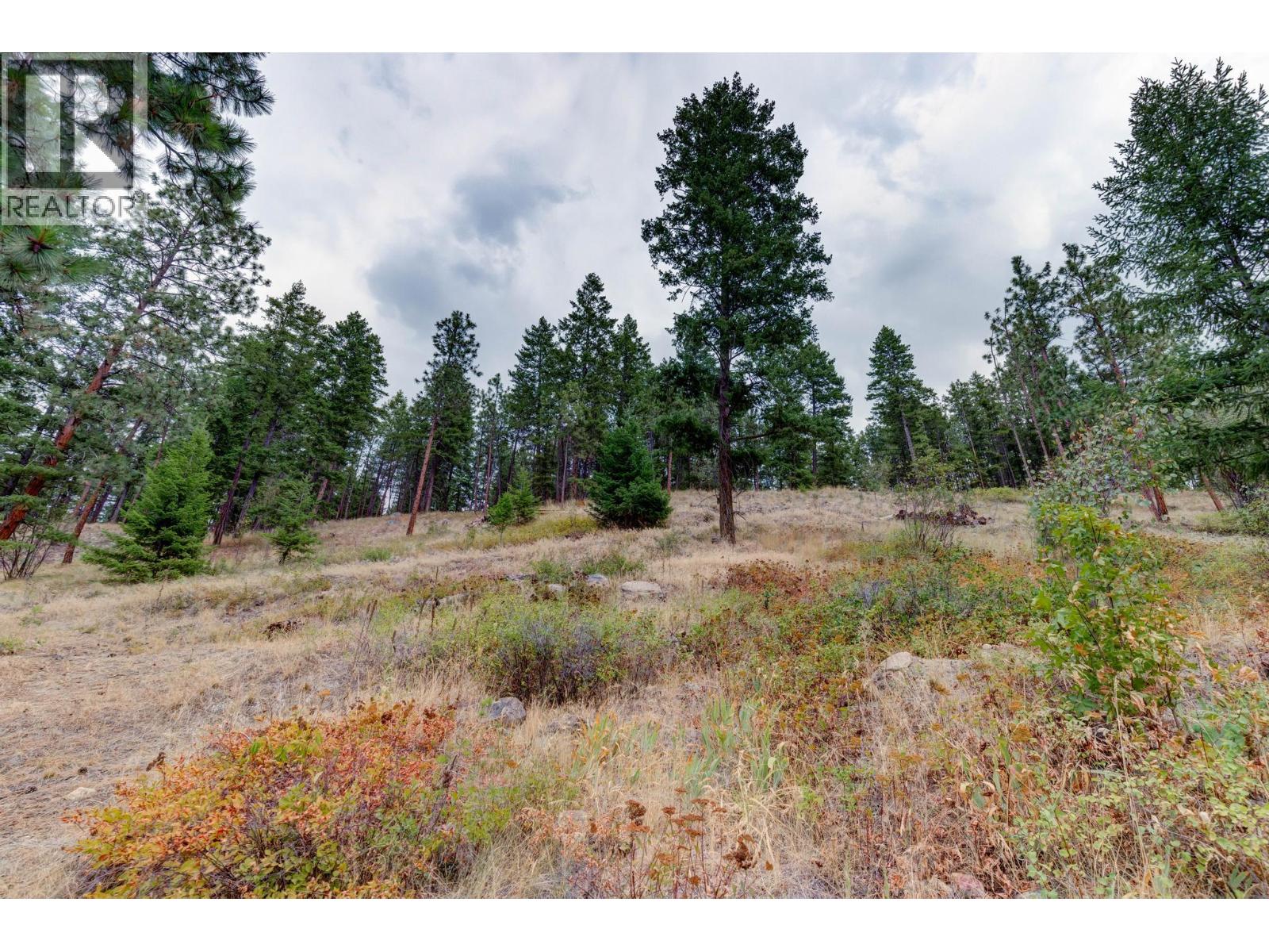 16455 Commonage Road Lake Country Photo 33