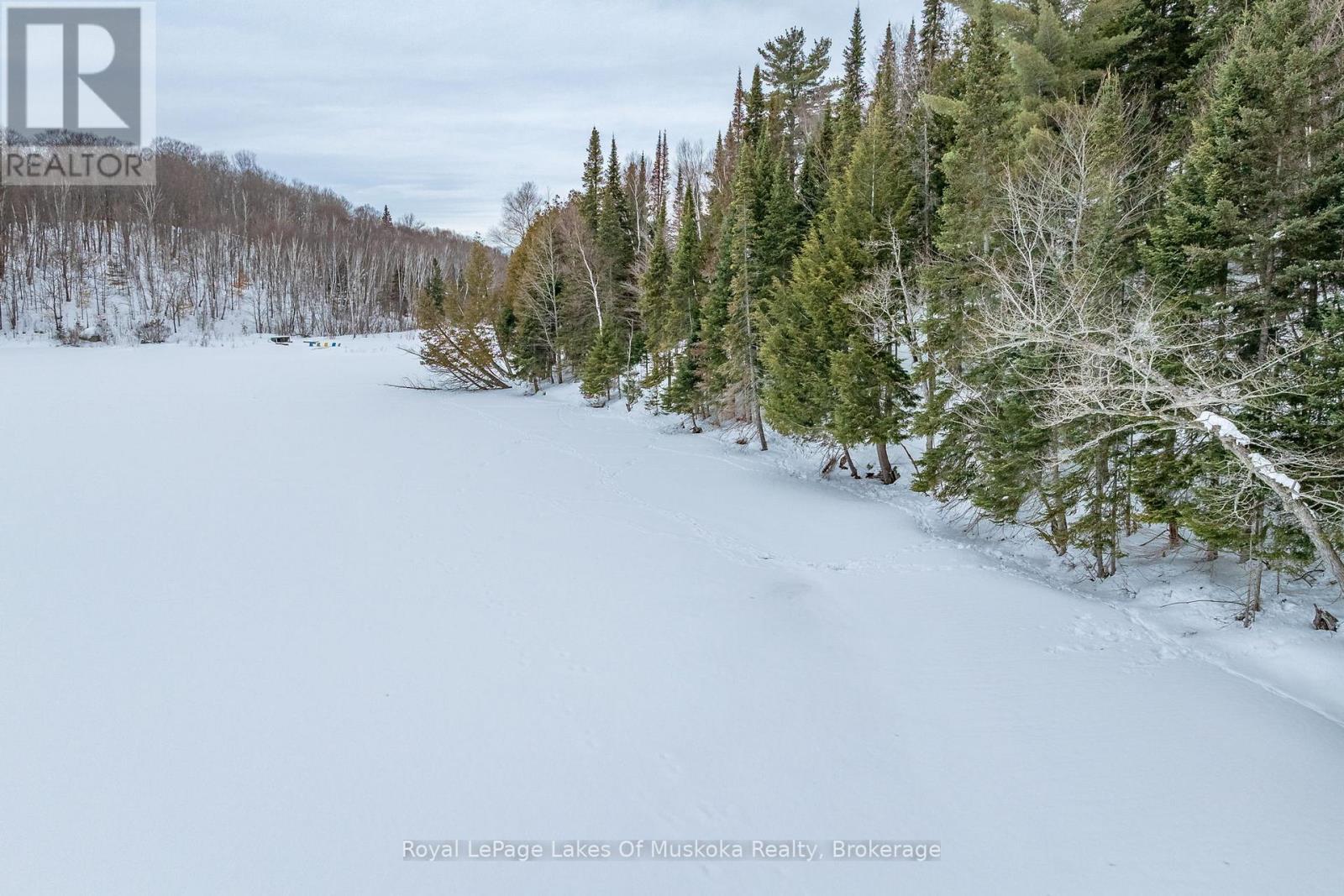 2245 Ahmic Lake Road, Magnetawan, Ontario  P0A 1P0 - Photo 43 - X12813328