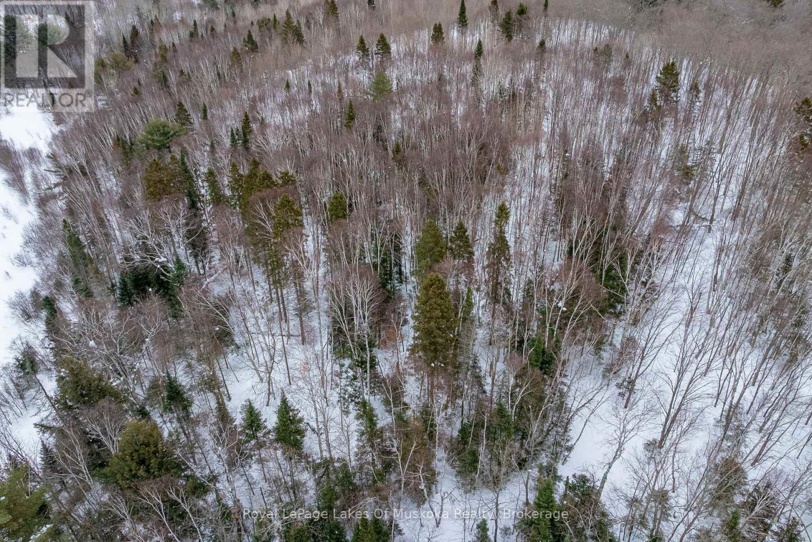 2245 Ahmic Lake Road, Magnetawan, Ontario  P0A 1P0 - Photo 46 - X12813328